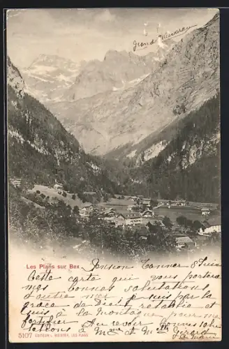 AK Les Plans sur Bex, Panorama