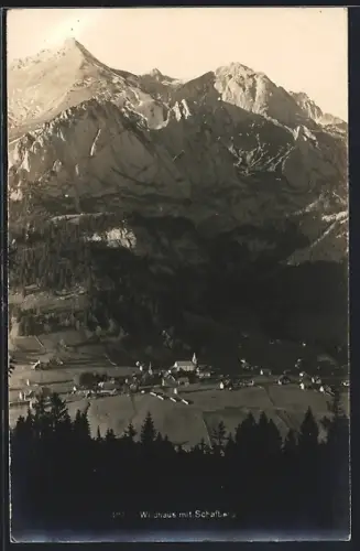 AK Wildhaus, Teilansicht mit Schafberg