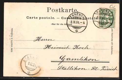 AK Glarus, Ortsansicht mit Glärnisch