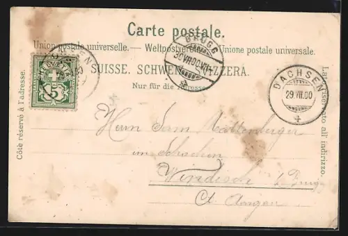 Lithographie Rheinfall, Ortsansicht vom Wasser aus, mit Bahnviadukt