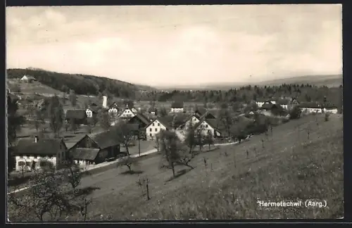 AK Hermetschwil /Aarg., Ortspartie mit Bäumen