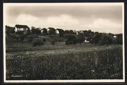 AK Fischbach, Ortspartie mit Blumenwiese