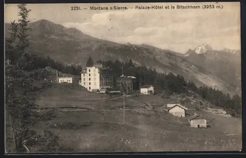 AK Montana sur Sierre, Palace-Hotel et le Bitschhorn
