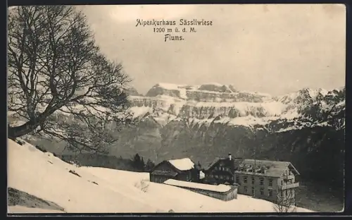 AK Flums, Alpenkurhaus Sässliwiese im Schnee