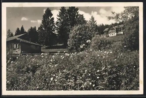 AK Buchserberg, Kurhaus mit Blumenwiese