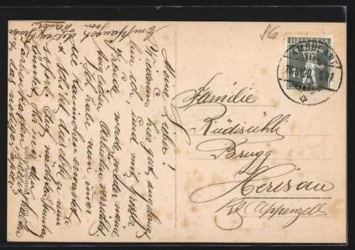 AK Toggenburg-Brunnadern, Ortsansicht aus der Vogelschau