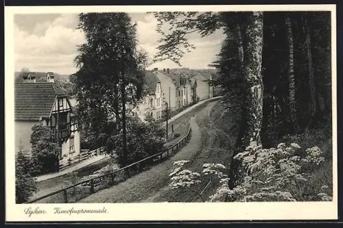 AK Lychen, Partie der Kienofenpromenade