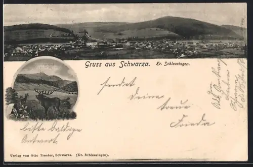 AK Schwarza /Schleusingen, Totalansicht mit Hirsch vor Landschaft