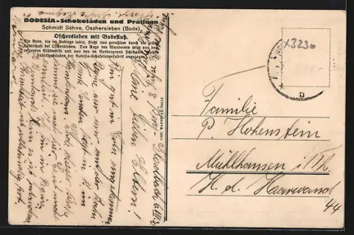 Künstler-AK Oschersleben, Ortsansicht mit Bodefluss