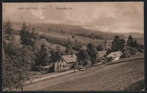 AK Bad Köstritz i. Thür., Oelsdrofmühle mit Umgebung