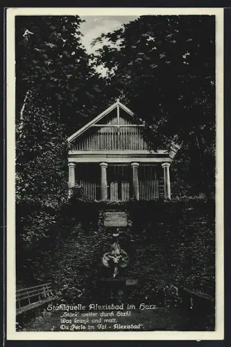 AK Alexisbad /Harz, Stahlquelle im Grünen