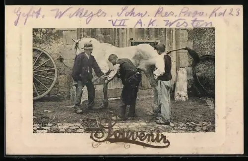 AK Hufschmiede bei der Beschlagung