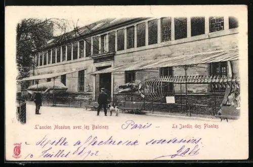 AK Le Jardin des Plantes, L`ancien Muséum avec les Baleines