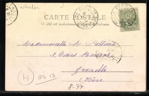 AK Le Jardin des Plantes, L`ancien Muséum avec les Baleines
