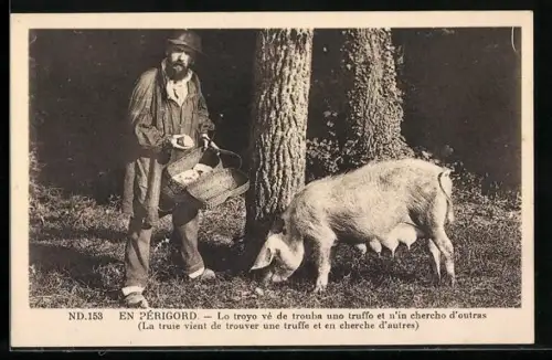 AK En Périgord, Lo troyo vé de trouba uno truffo