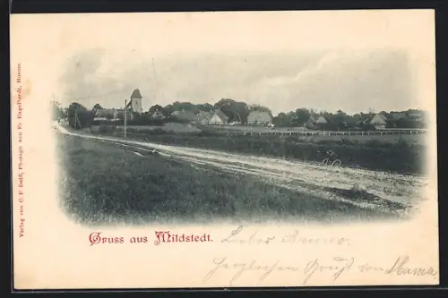 AK Mildstedt, Dorfansicht mit Kirche und Gehöften