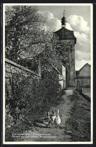 AK Schlüsselfeld i. Steigerwald, Partie an der alten Stadtmauer