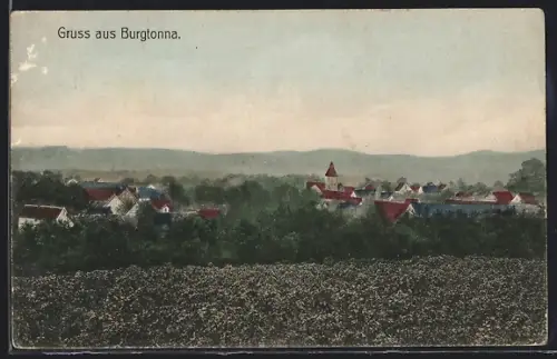 AK Burgtonna, Gesamtpanorama aus dem Grünen