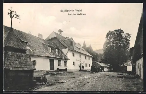 AK Zwiesel /bayr. Wald, Zwiesler Waldhaus