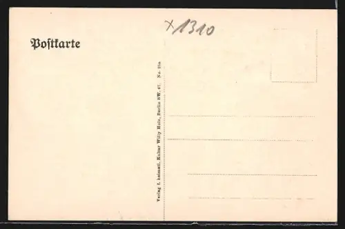 AK Freienwalde, Panoramablick auf den Ort