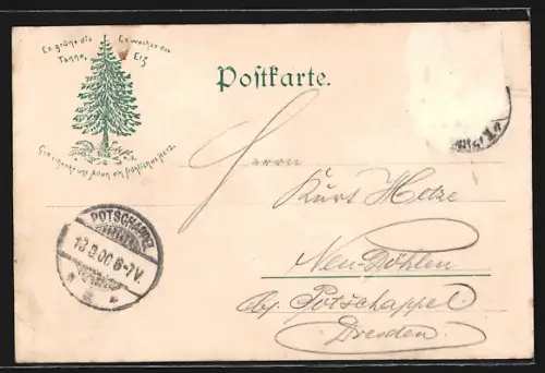 AK Thale, Blick vom Präsidentenweg