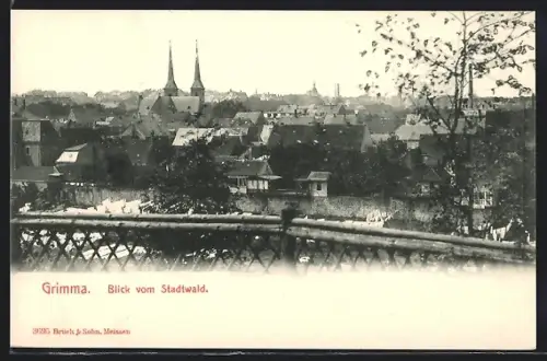 AK Grimma, Blick vom Stadtwald auf den Ort