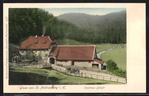 AK St. Andreasberg i. H., Forsthaus Schluft mit Waldhintergrund