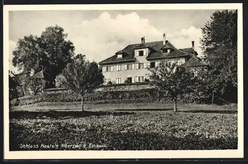 AK Alberswil b. Ettiswil, Schloss Kastein, Ansicht von einem Feld aus