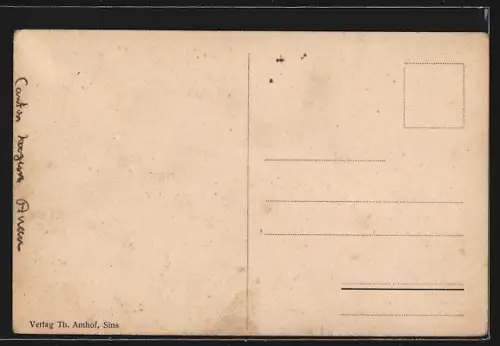 AK Sins, Ortspartie mit Kirche, Kirchhof u. Anlage aus der Vogelschau