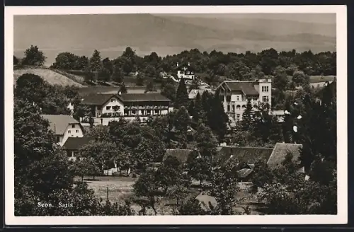 AK Seon, Satis, Totalansicht aus der Vogelschau