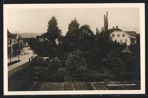 AK Meisterschwanden, Strassenpartie und Blick in einen Garten