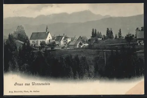 AK Wonnenstein, Ortsansicht mit Umgebung