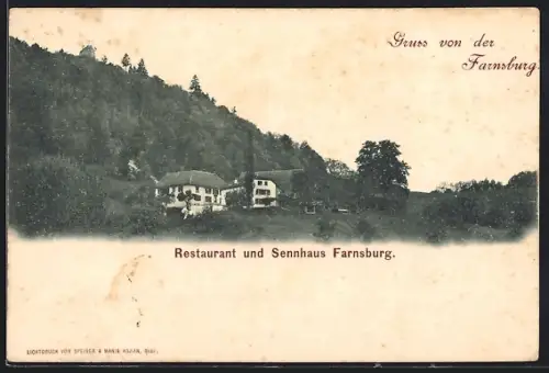 AK Farnsburg, Restaurant und Sennhaus Farnsburg, Panorama
