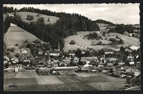 AK Signau, Ortsansicht aus der Vogelschau