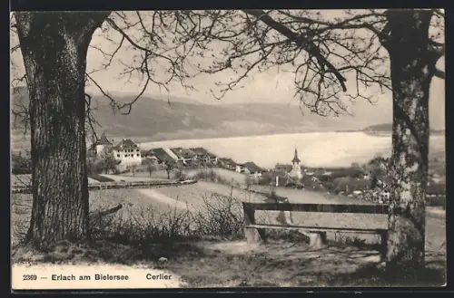 AK Erlach am Bielersee, Cerlier, Teilansicht