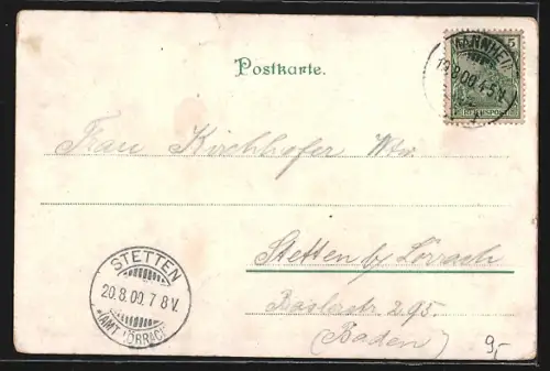 Lithographie Ludwigshafen a. Rhein, Teilansicht mit Schwalbe