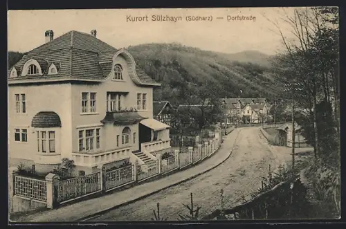 AK Sülzhayn /Harz, Dorfstrasse mit Siedlungspartie