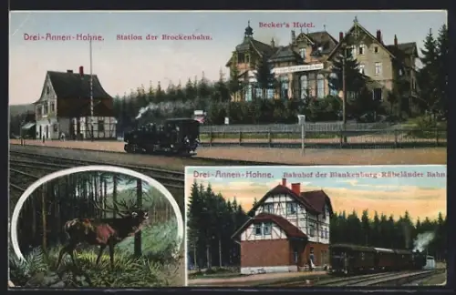 AK Drei-Annen-Hohne, Station der Brockenbahn, Becker's Hotel