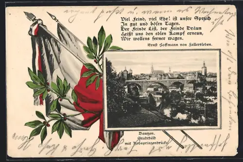 AK Bautzen, Teilansicht mit Kronprinzenbrücke, Fahnen mit Zweigen, Passepartout