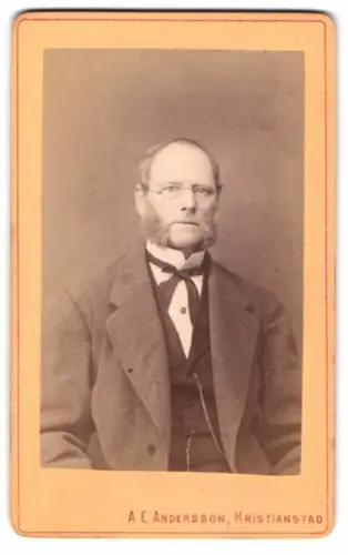 Fotografie A. E. Andersson, Kristianstad, Porträt eines älteren Herrn