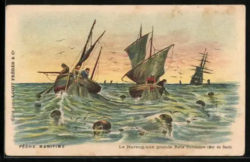 AK Chocolat-Louit, Pêche maritime, Le Hareng, aux grands Rets flottants, Kakao