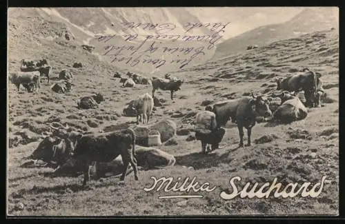 AK Milka Suchard, Weidende Kühe, Kakao