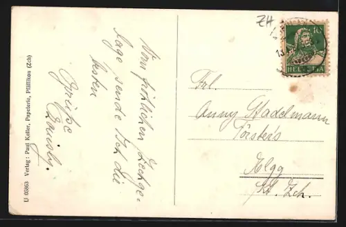 AK Pfäffikon /Zch, Ortspanorama mit Gewässer