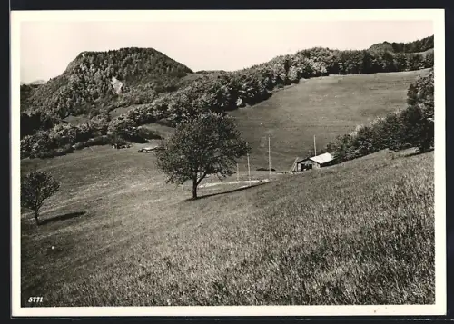 AK Densbüren /AG, Herzberg b. Asp, Blick auf Wohnhütte mit Wasserfluh im Hintergrund