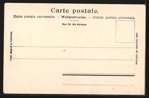 AK Bremgarten /AG, Strassenpartie mit Pension