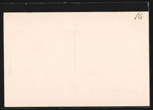 AK Buchs /SG, Totalansicht vom Berg aus