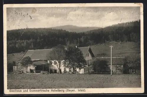 AK Nebelberg /Bayer. Wald, Gasthaus