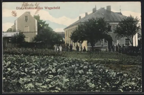 AK Wegscheid / Ndb., Dist.-Krankenhaus mit Garten im Vordergrund