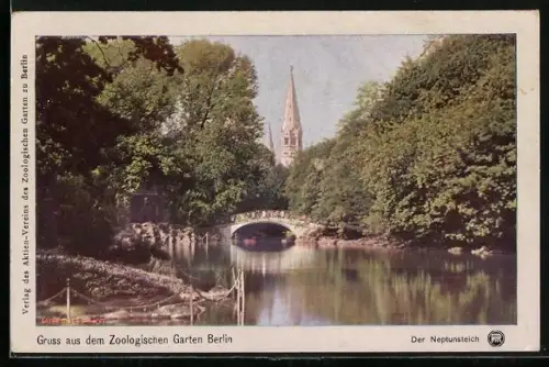 AK Berlin, Zoologischer Garten, Neptunsteich