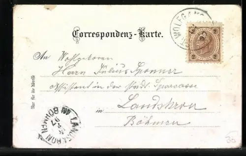 Lithographie St. Wolfgang, Gasthaus auf dem Schafberg, Leuchtturm, Ortsansicht mit Dampfer